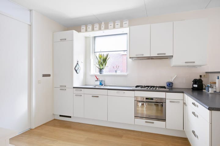 Foto 13 van Blauwe Reiger 5