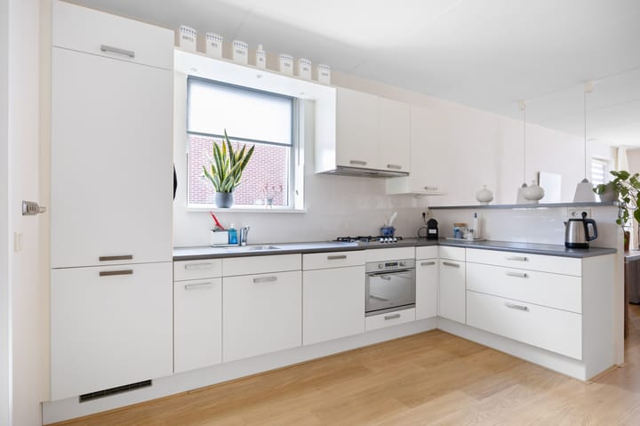 Foto 14 van Blauwe Reiger 5