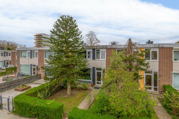 Foto 1 van Wijtingstraat 9