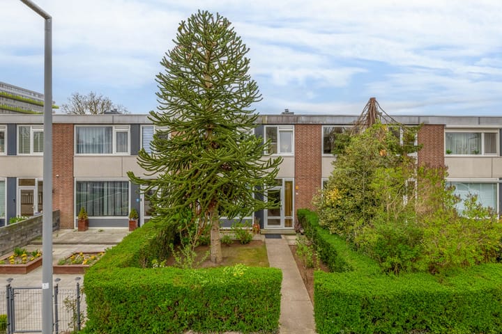 Foto 8 van Wijtingstraat 9