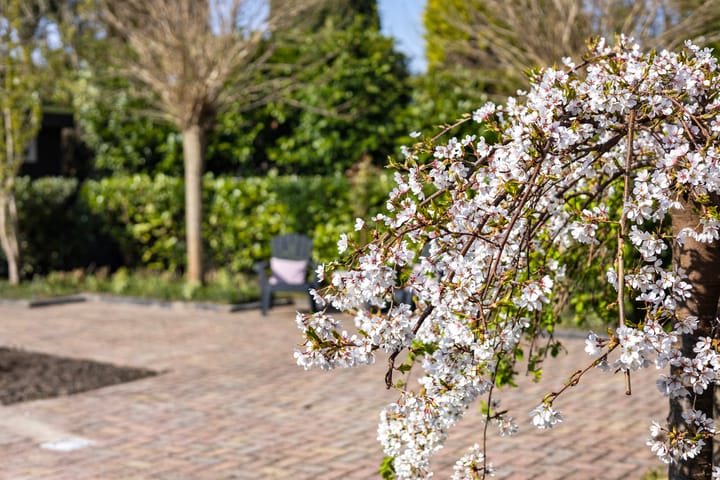 Foto 38 van Duizeldonksestraat 3