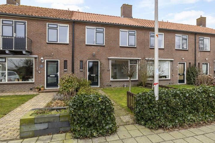 undefined main image