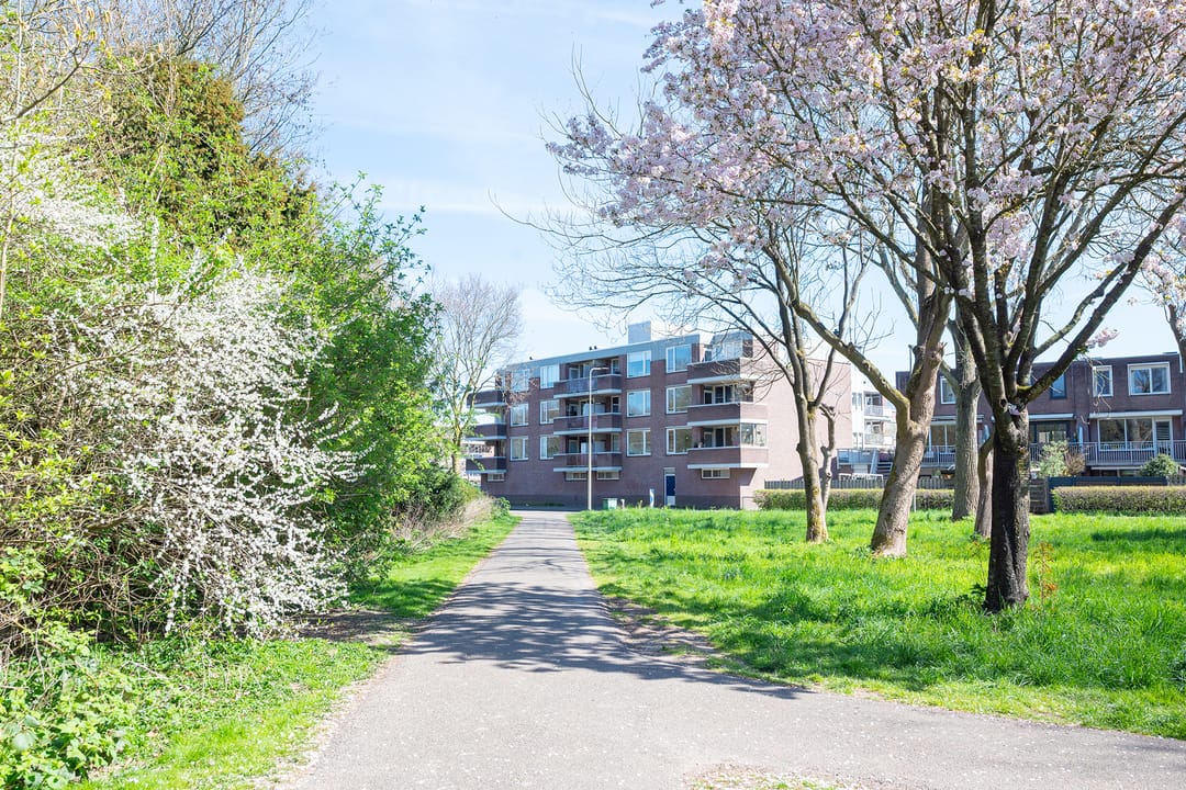 Photo 2 of Poortwachter 24