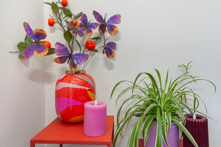 Foto 8 van Schoener 3