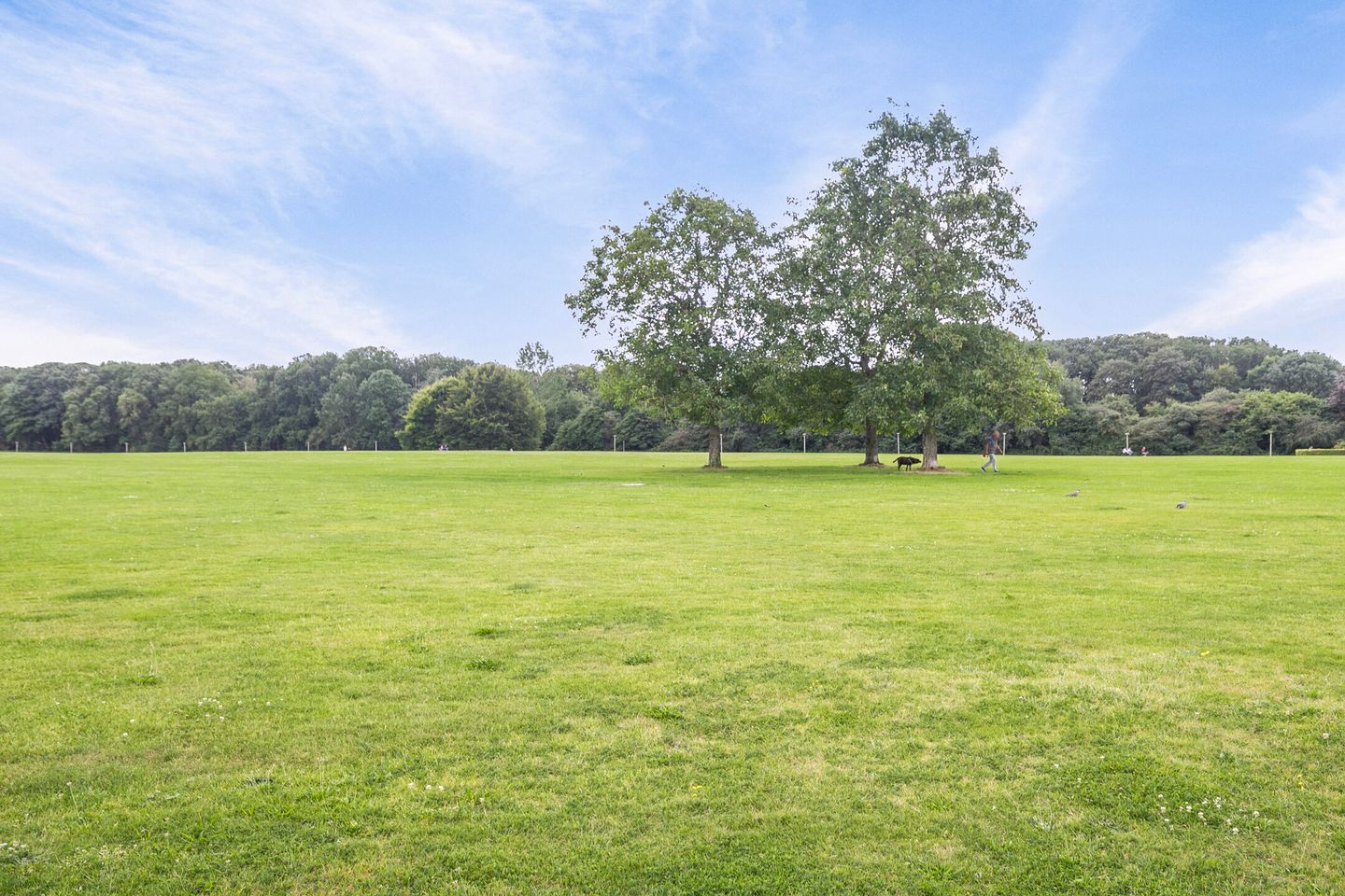 Foto 19 van Paladijnenweg 37