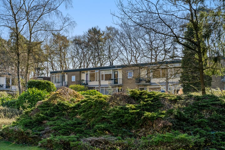 Foto 7 van Carel Beukerhof 31-I