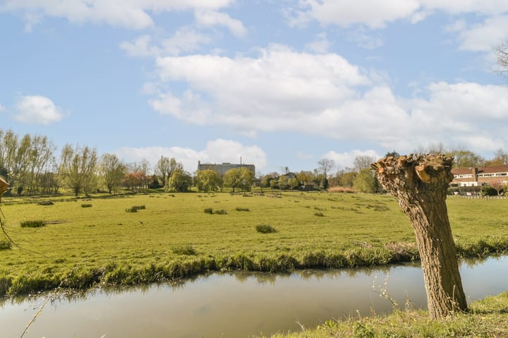 Photo 37 of Kleiweg 423