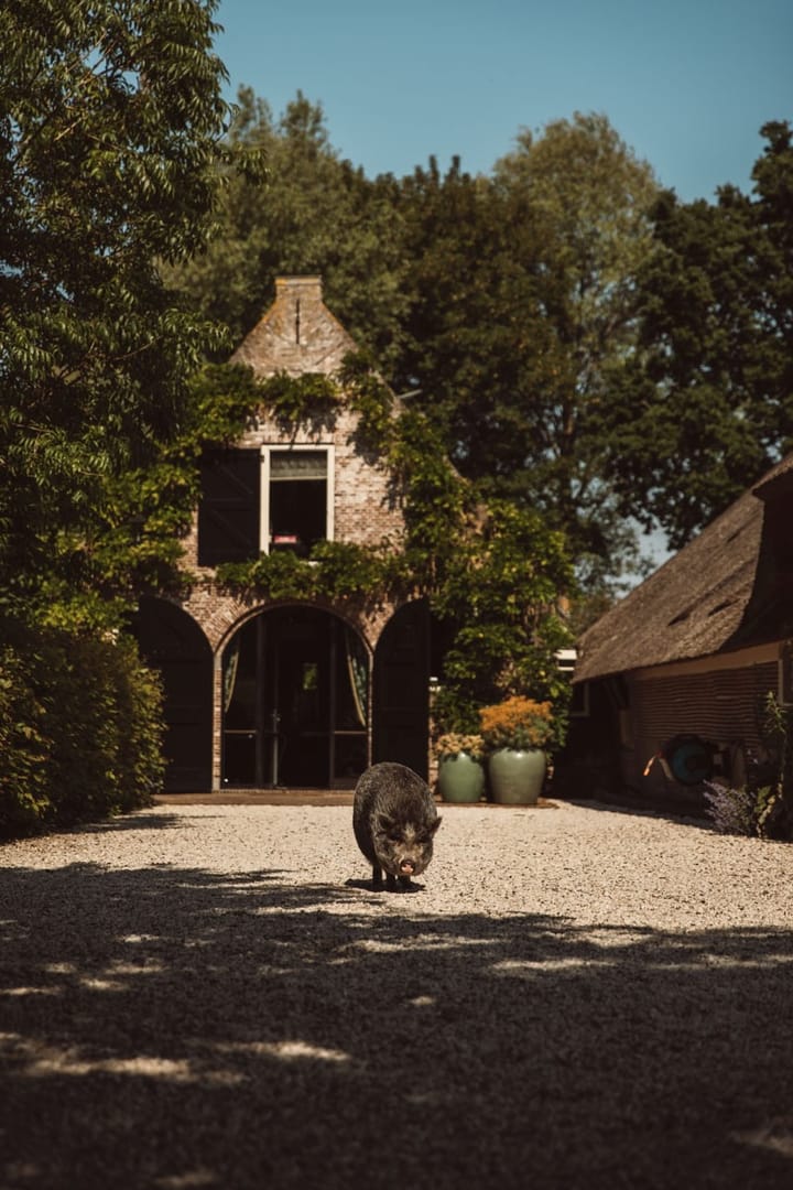 Photo 44 of Gein-Noord 80