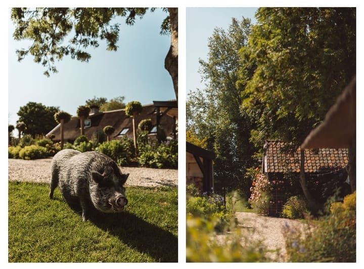 Photo 58 of Gein-Noord 80