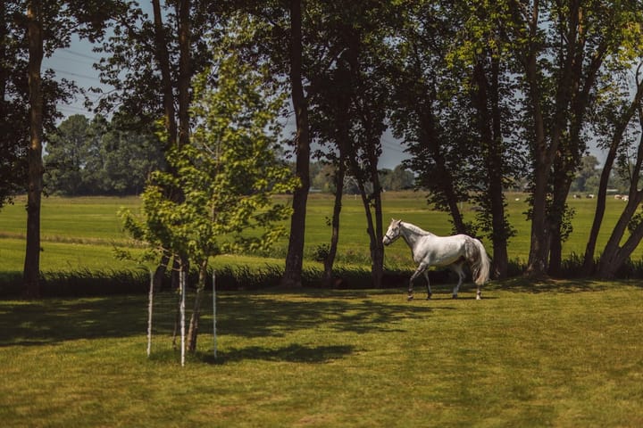 Photo 63 of Gein-Noord 80