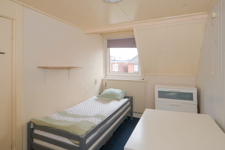 Foto 19 van Bornerbroeksestraat 125