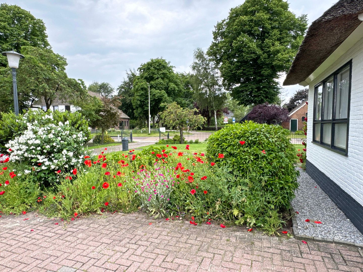 Photo 10 of de Bente 24