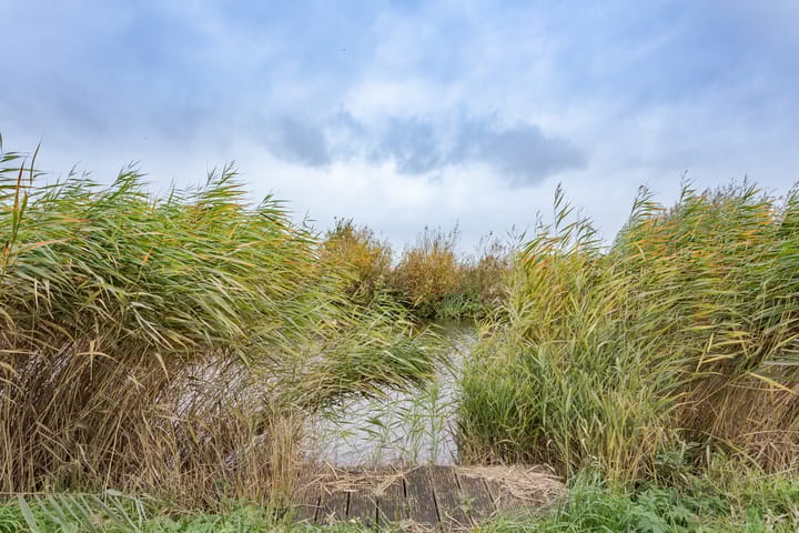 Foto 22 van Mientweg 70