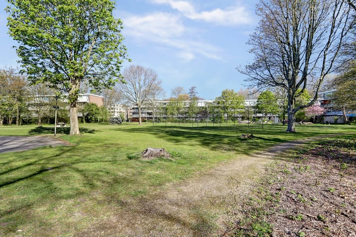 Foto 9 van Berghuyspad 19