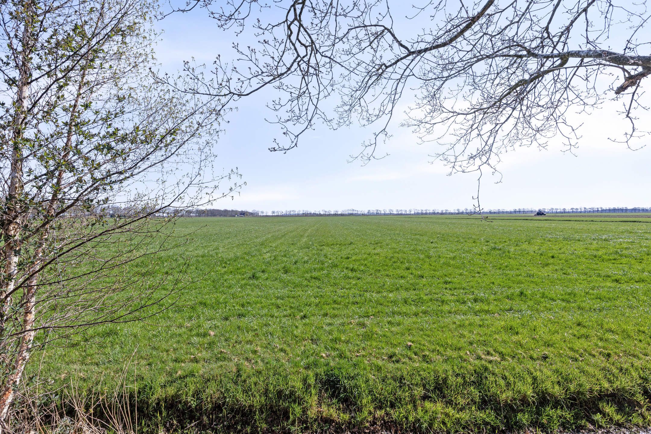 Photo 24 of Weperpolder 33-A84