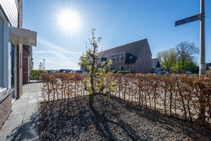 Foto 7 van Het Woud 13