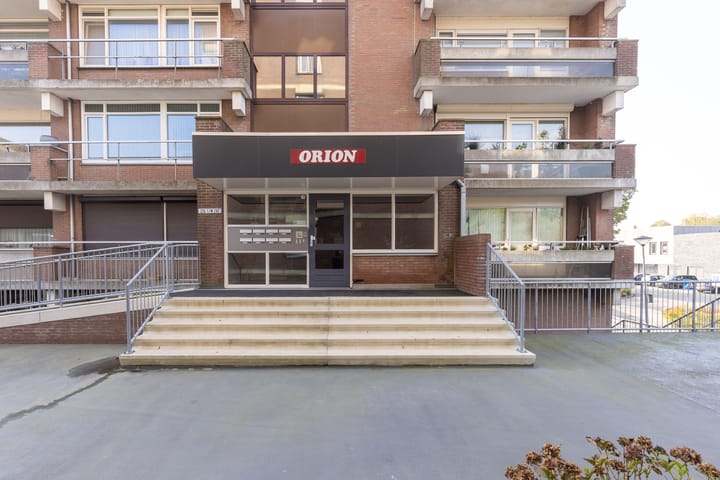 Foto 13 van Poolster 237