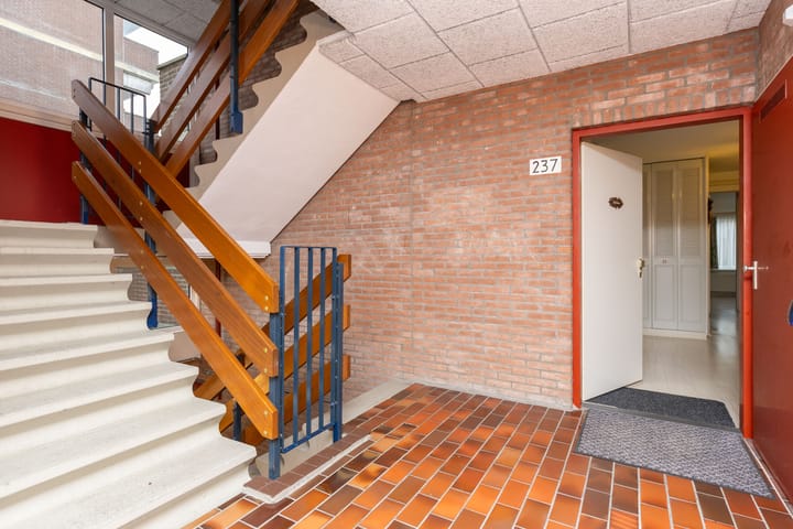 Foto 14 van Poolster 237