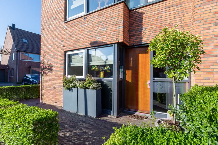 Foto 2 van Juttepeer 48