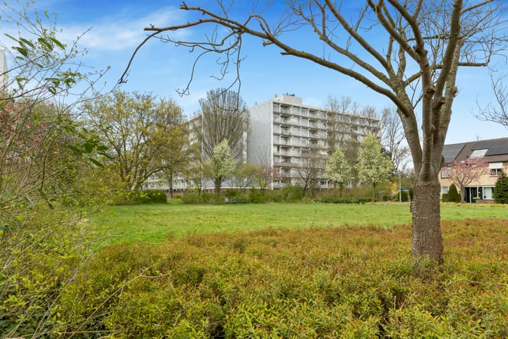 Foto 44 van Denemarkenstraat 12