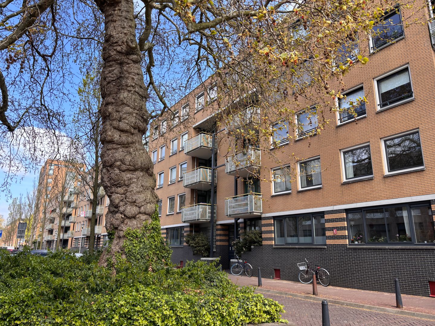 Foto 1 van Arthur van Schendelstraat 153