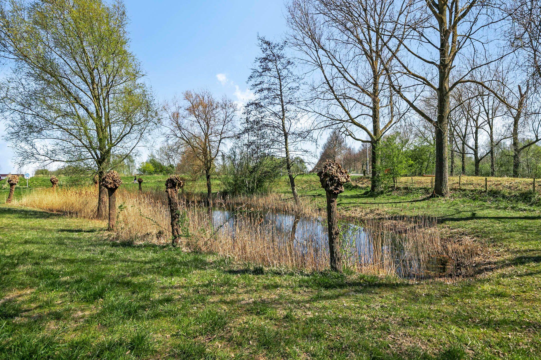 Foto 42 van Houtkade 318