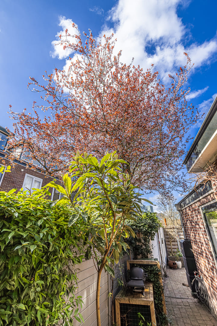 Foto 23 van Van der Hoevenstraat 11