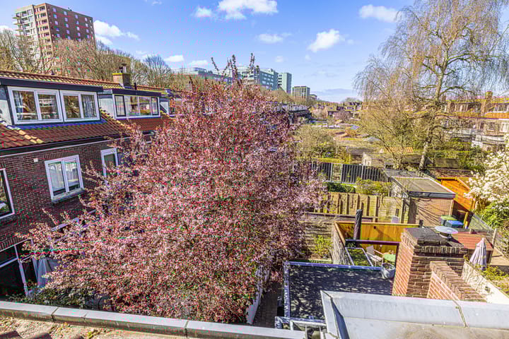 Foto 46 van Van der Hoevenstraat 11