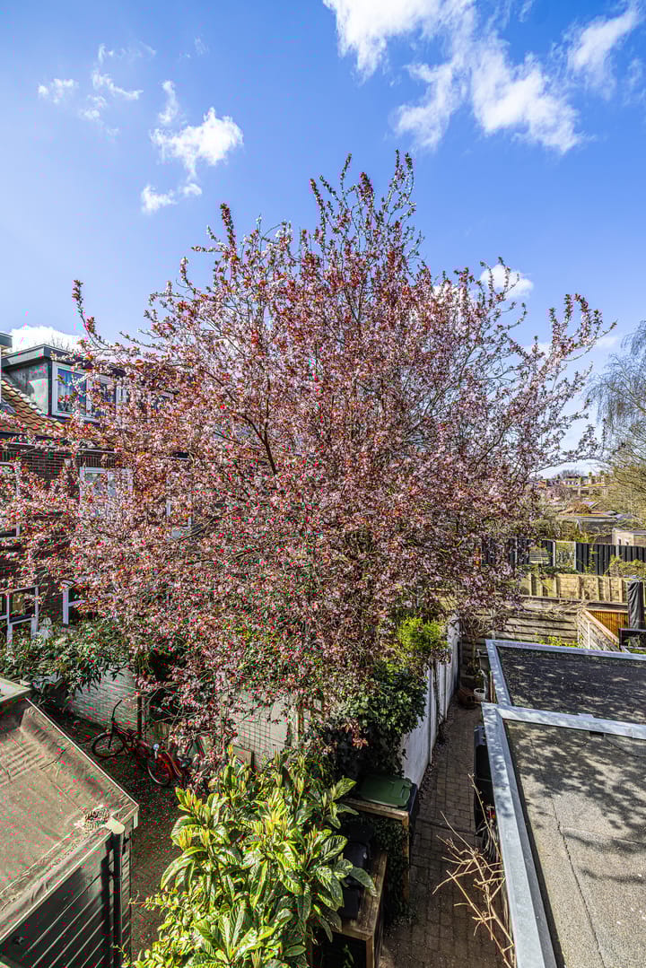 Foto 38 van Van der Hoevenstraat 11