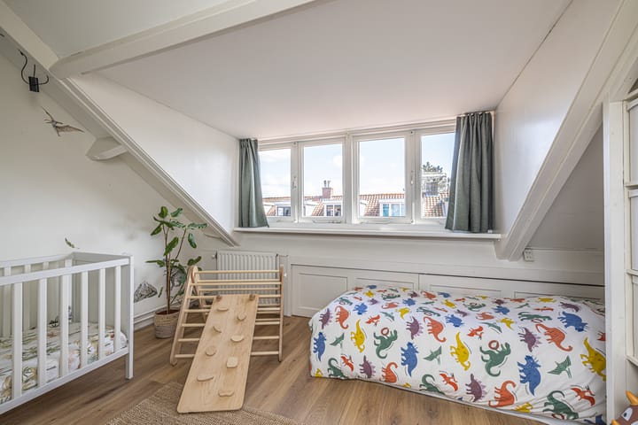 Foto 49 van Van der Hoevenstraat 11