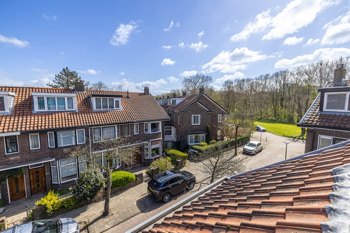 Foto 53 van Van der Hoevenstraat 11