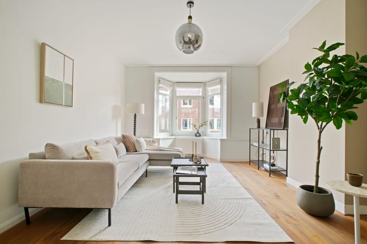 Foto 5 van Reinier Claeszenstraat 45-2