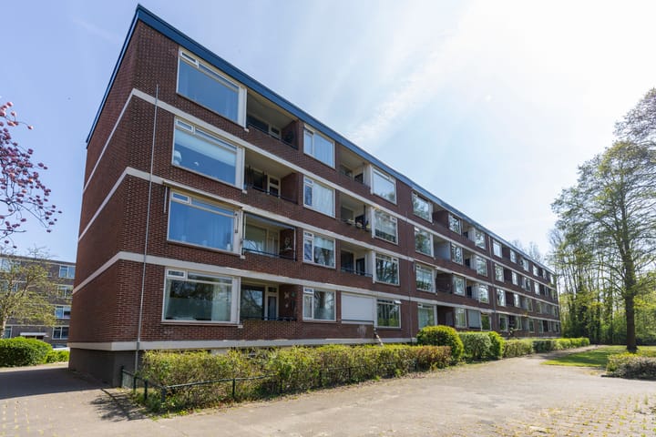 Foto 5 van Ruigoord 258