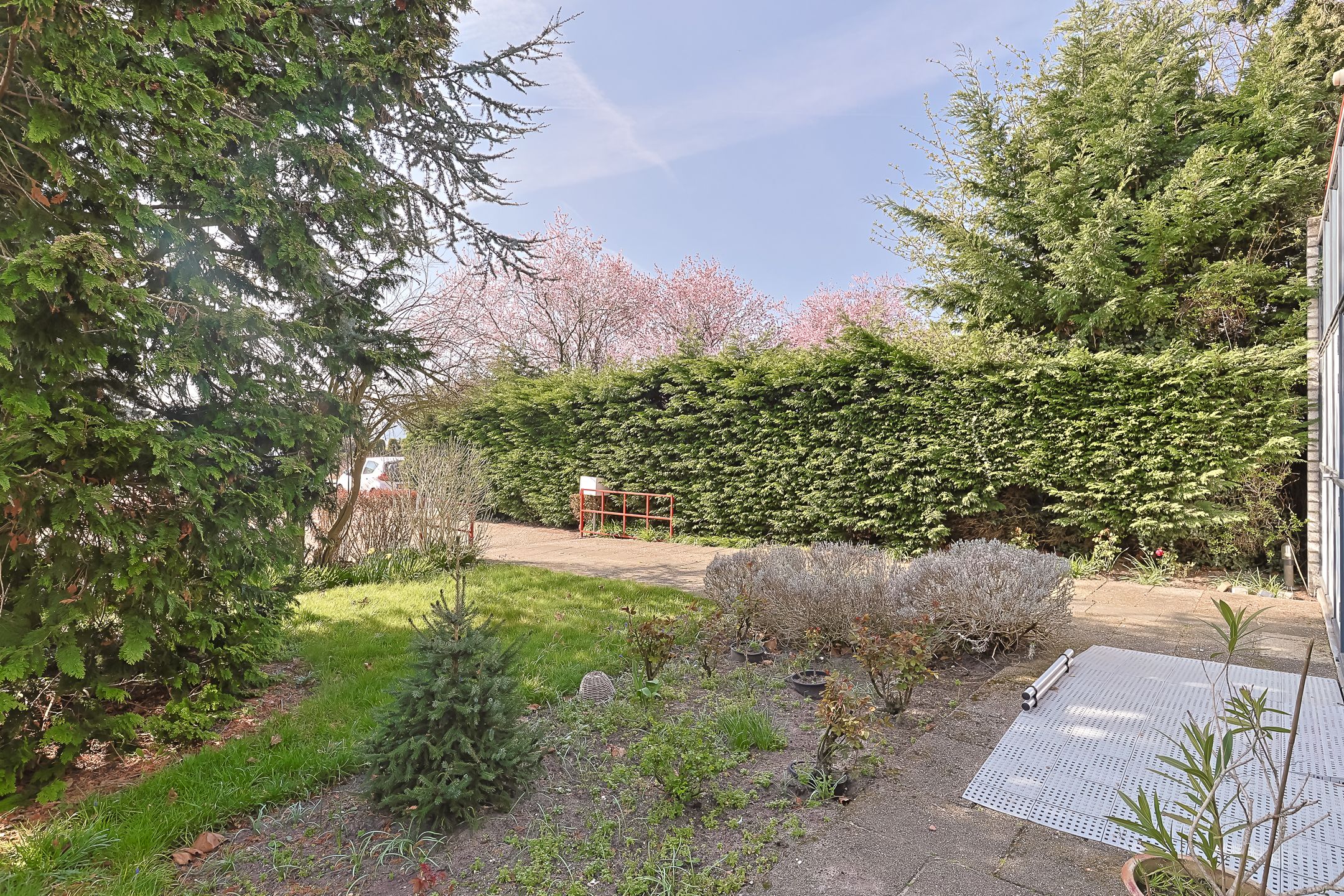 Foto 6 van Conradpark 16-B