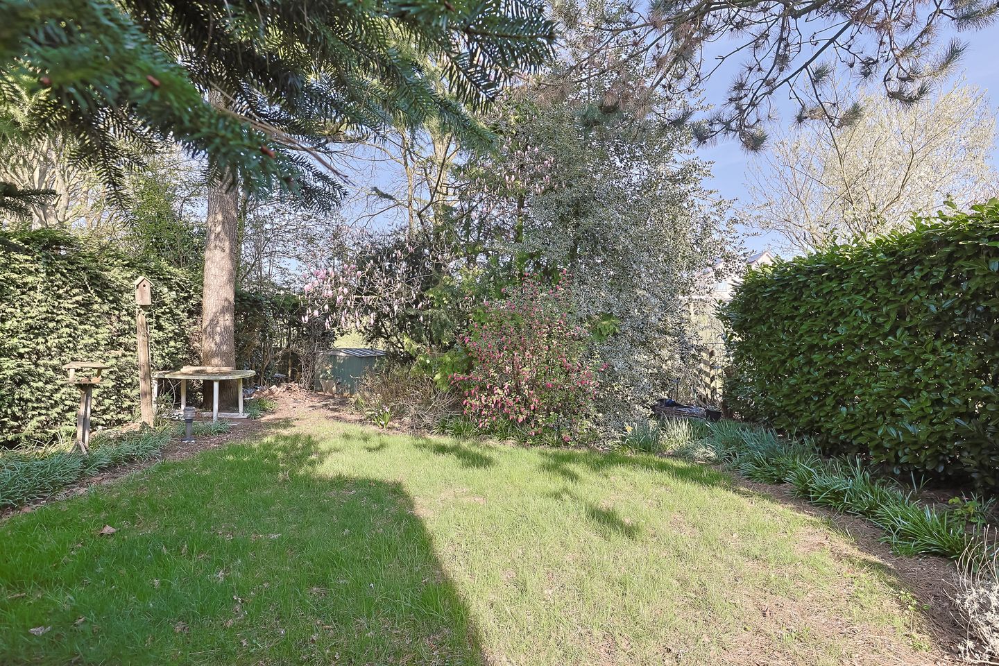 Foto 40 van Conradpark 16-B