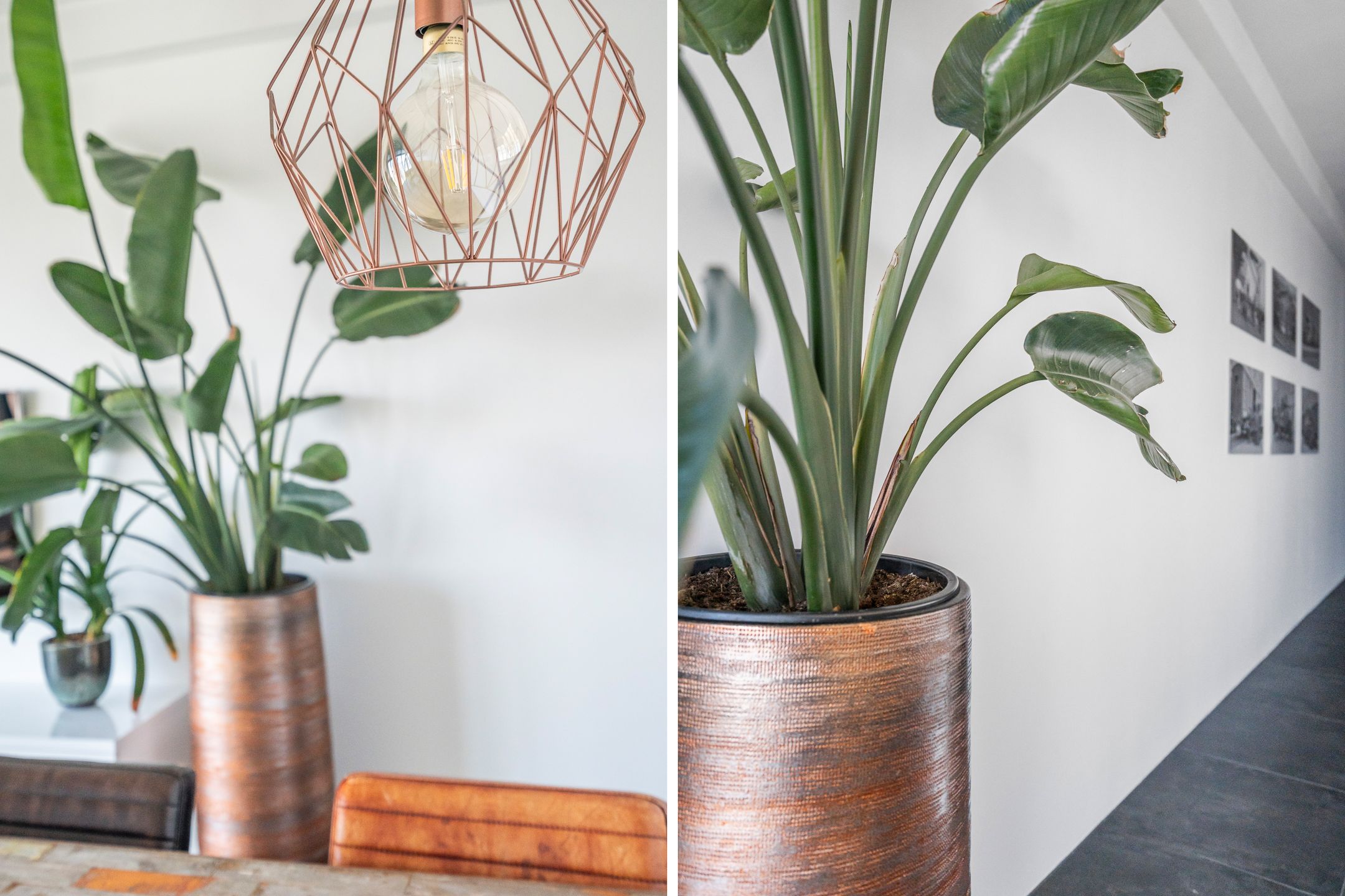 Photo 39 of Schiehavenkade 464