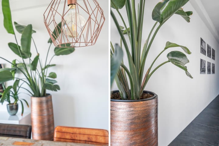 Foto 39 van Schiehavenkade 464