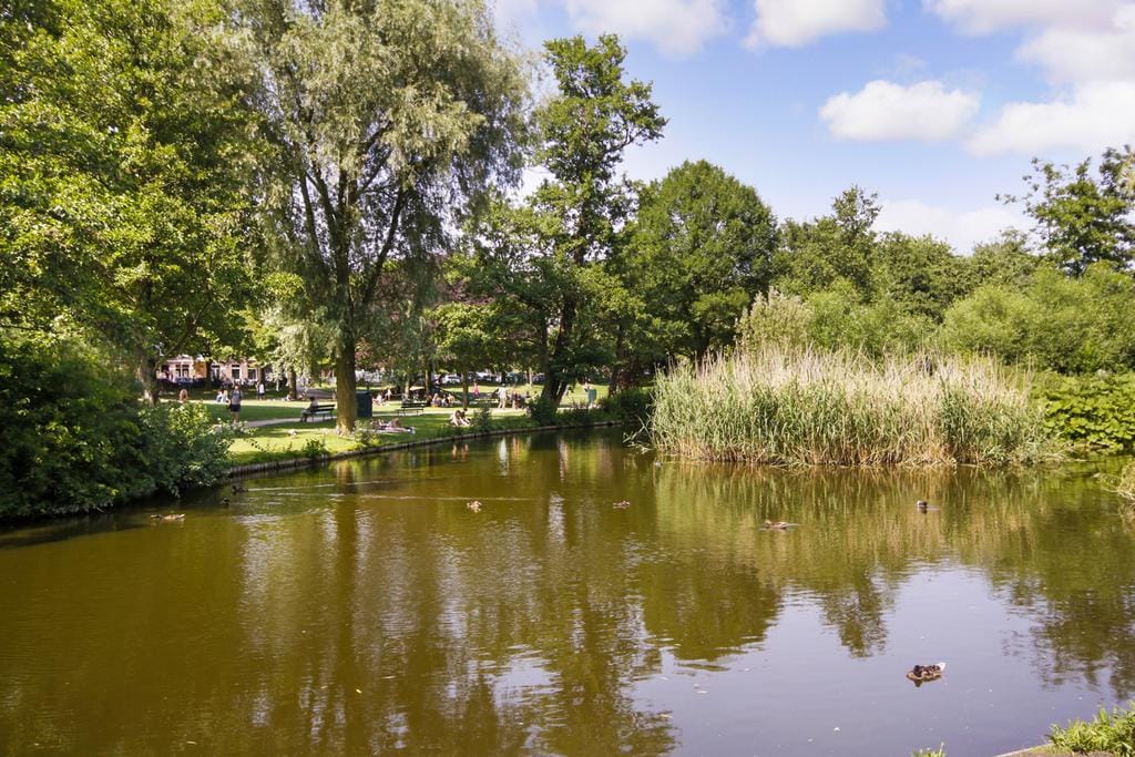 Foto 26 van Pieter Aertszstraat 30-4