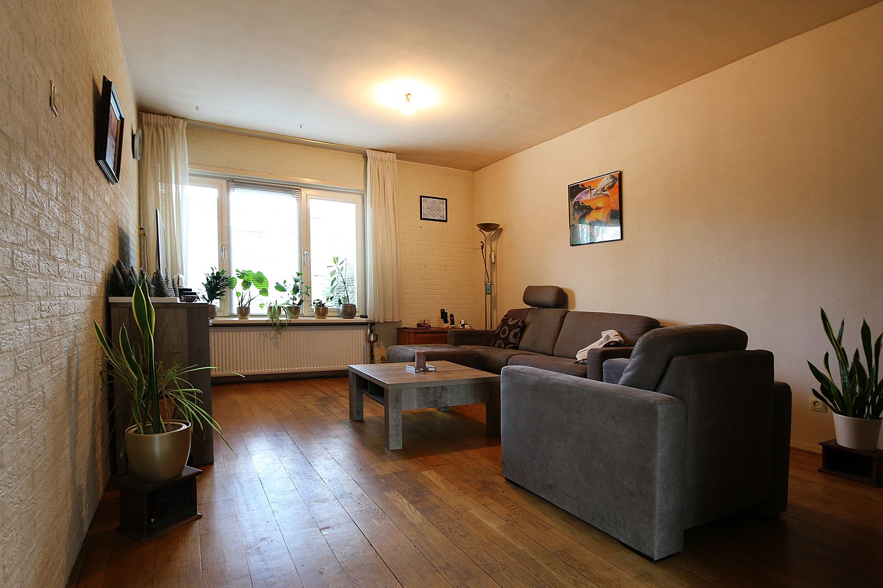 Foto 3 van Riegheide 9