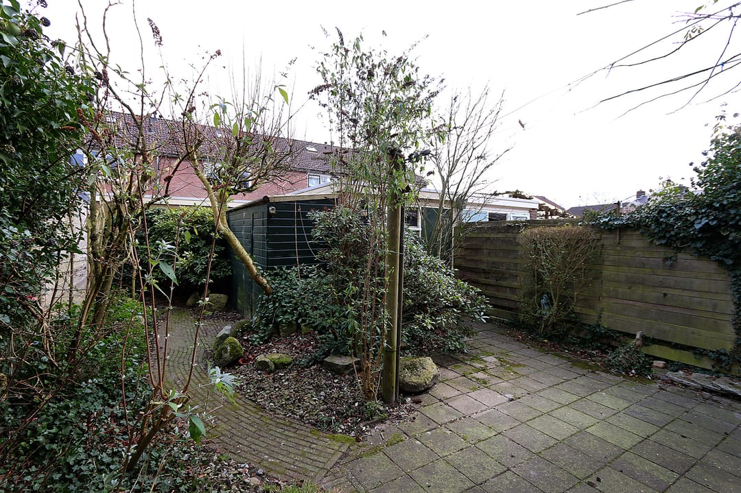 Foto 7 van Riegheide 9