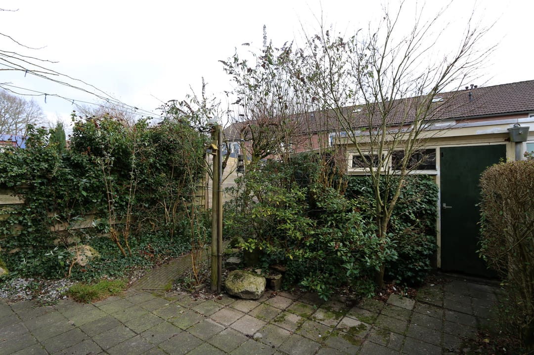 Foto 8 van Riegheide 9