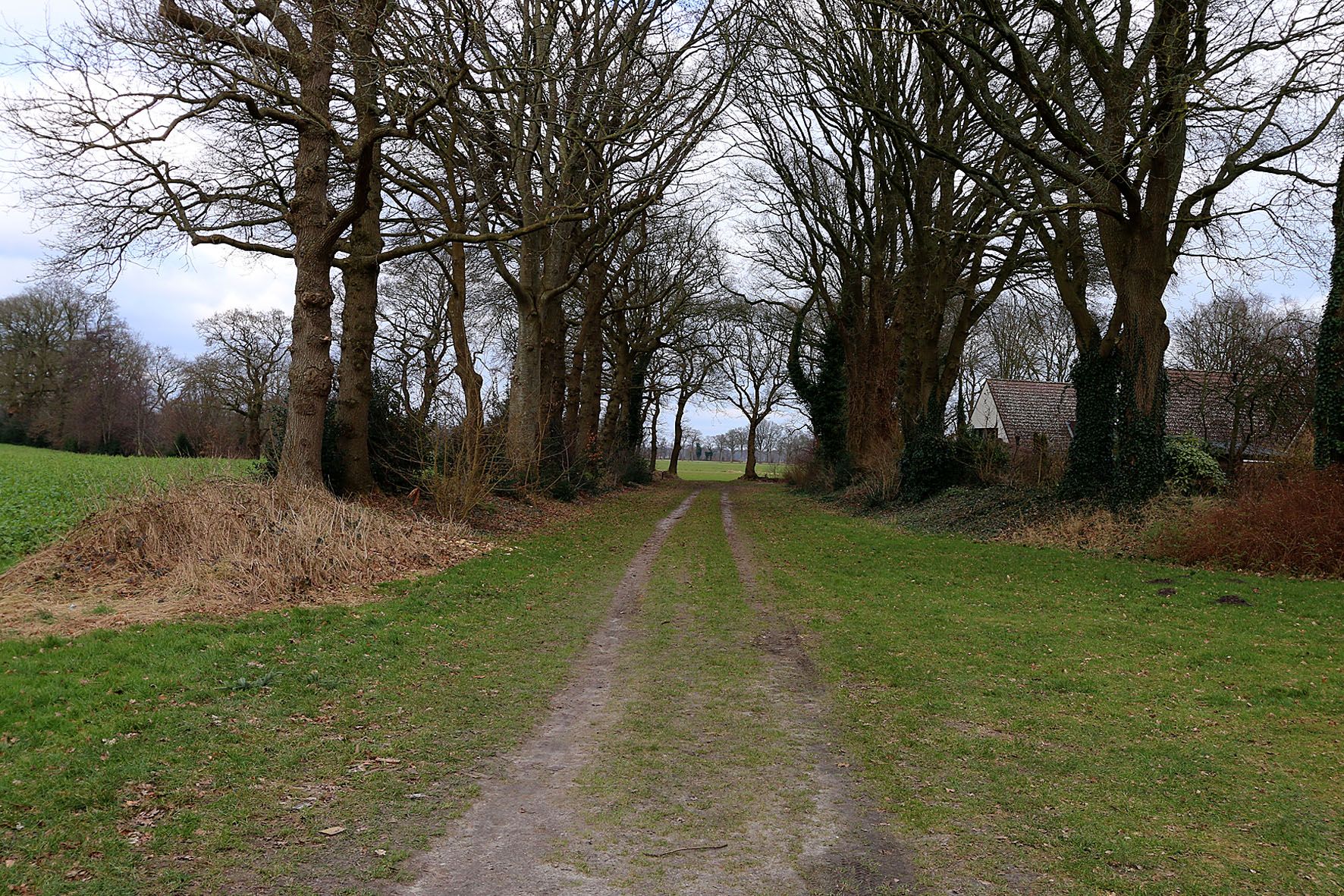 Foto 24 van Riegheide 9