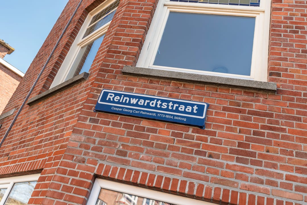 Foto 22 van Reinwardtstraat 38