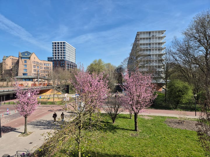 Foto 3 van Haardstee 168