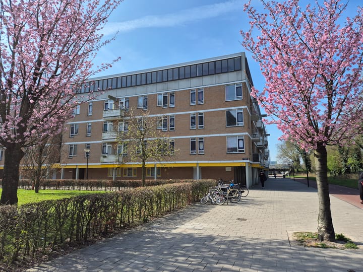 Foto 4 van Haardstee 168