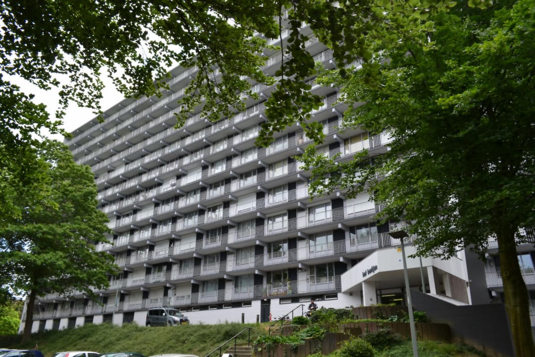 Foto 1 van Henri Dunantstraat 341