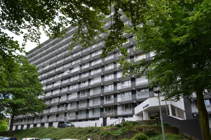 Foto 1 van Henri Dunantstraat 341