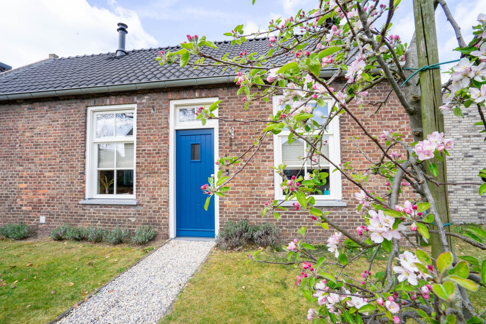 Photo 3 of Nieuwe Uitleg 4