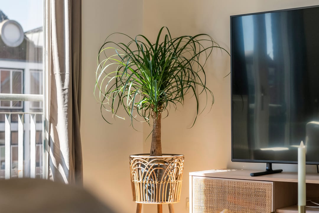 Foto 11 van Zoutkeetstraatje 8-21