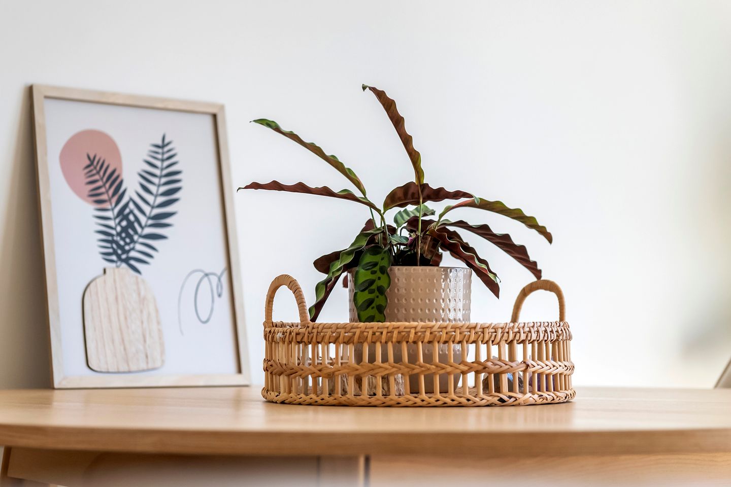 Foto 14 van Zoutkeetstraatje 8-21